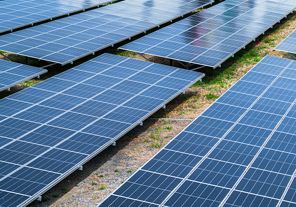 屋外に整然と並ぶ太陽光発電パネル